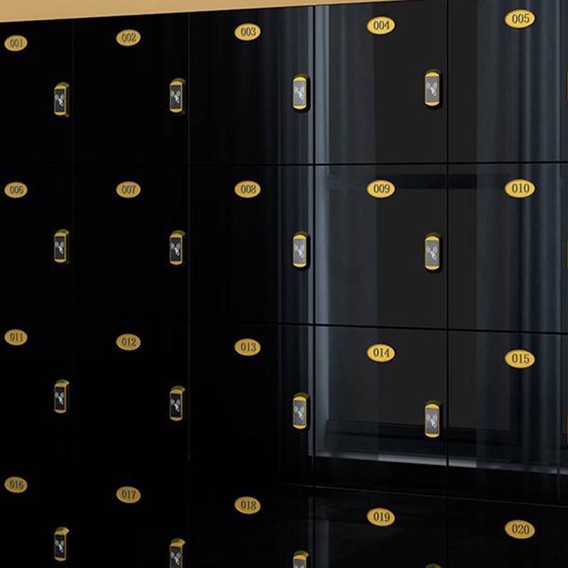 Moderne gespiegelde afwerking Niet-hangende armoire vervaardigde houten opbergkast