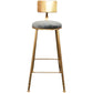 Glam Armless Backrest Counter Stool Iron Cashier Bar Stool with Flannel Cushion and Pedal Clearhalo 'Bar Furniture' 'Bar Stools' 'bar_stools' 'furn' 'furn_bar_stools' 'Furniture' 'furniture_bar_stools' 'Kitchen & Dining Furniture' 1200x1200_1178ef0a-d41b-4eef-8581-b81331a56a68