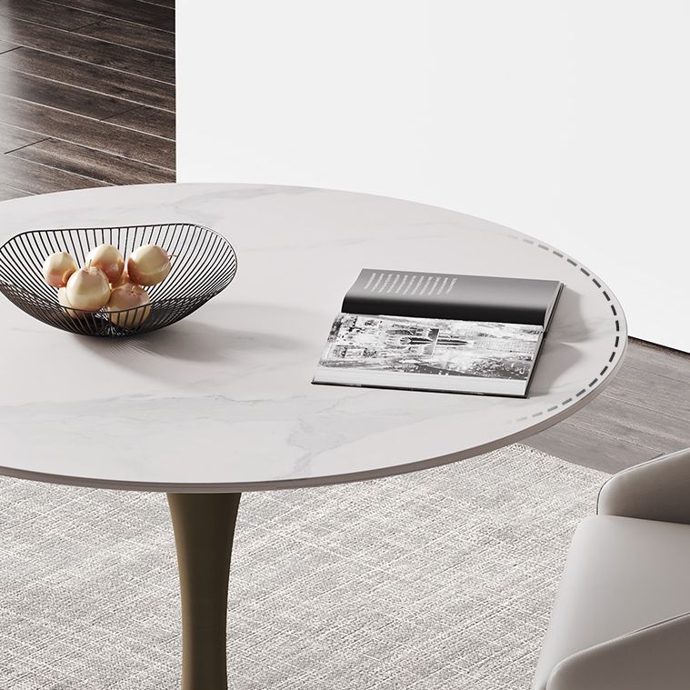 Round Tulip Base Dining Site Table Traditional Luxury Dinette Table for Home Clearhalo ' dining_table' 'Dining Tables & Seating' 'Dining Tables' 'furn' 'furn_dining_table' 'Furniture' 'furniture_dining_table' 'Kitchen & Dining Furniture' 'kitchen&dining_furn' 'kitchen' 'kitchen_dining_table' 1200x1200_118787b5-9c35-4f23-84bd-74e8c173e7f2