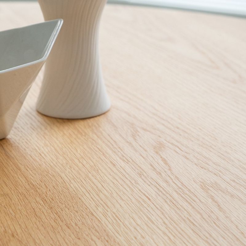 Solid Wood Dining Table Round Modern Pedestal Dining Table for Home Use Clearhalo ' dining_table' 'Dining Tables & Seating' 'Dining Tables' 'furn' 'furn_dining_table' 'Furniture' 'furniture_dining_table' 'Kitchen & Dining Furniture' 'kitchen&dining_furn' 'kitchen' 'kitchen_dining_table' 1200x1200_118e1e13-da03-4533-a1c4-34209a0b0af2
