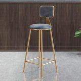 Glam Armless Backrest Counter Stool Steel Cashier Bar Stool with Flannel Cushion and Pedal Clearhalo 'Bar Furniture' 'Bar Stools' 'bar_stools' 'furn' 'furn_bar_stools' 'Furniture' 'furniture_bar_stools' 'Kitchen & Dining Furniture' 1200x1200_11ac57bb-ea03-428c-80ea-29ec3804e41f