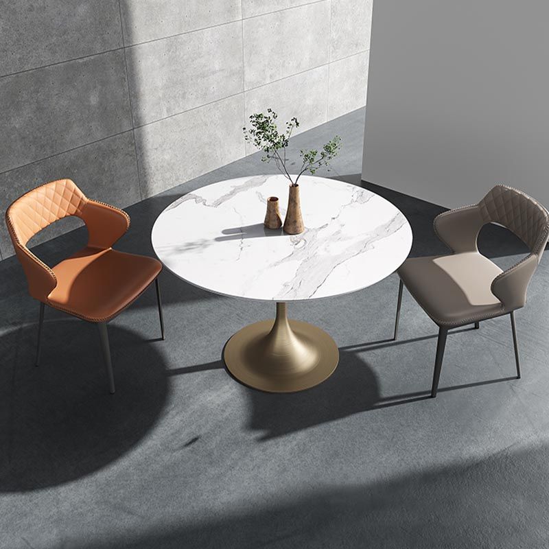 Glam Style Round Stone Top Restaurant Table Gold Base Dining Table Clearhalo 'Dining Tables & Seating' 'Dining Tables' 'dining_table' 'furn' 'furn_dining_table' 'Furniture' 'furniture_dining_table' 'Kitchen & Dining Furniture' 'kitchen' 'kitchen_dining_table' 1200x1200_121990c7-780f-446e-a5ba-6a7445435170
