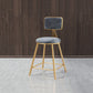 Glam Armless Counter Stool Iron Household Bar Stool with Cushion and Pedal Clearhalo 'Bar Furniture' 'Bar Stools' 'bar_stools' 'furn' 'furn_bar_stools' 'furniture_bar_stools' 'Kitchen & Dining Furniture' 'kitchen&dining_furn' 'kitchen' 'kitchen_furn' Furniture' 1200x1200_123b4ac3-aca4-4a3a-bc8c-a4b44ce58d66