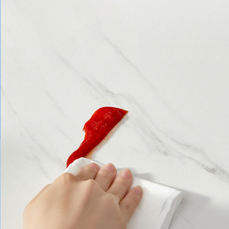 Modern Style 1/2/5/6 Pieces Dining Set Sintered Stone Dining Table with Chairs Clearhalo 'Dining Room Sets' 'Dining Tables & Seating' 'dining_room_set' 'furn' 'furn_dining_room_set' 'Furniture' 'furniture_dining_room_set' 'Kitchen & Dining Furniture' 1200x1200_124e6581-1c9f-4f94-bb84-355cc8fbd50e