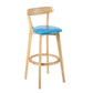 Industrial Backrest Armless Counter Stool Rubber Wood Bar Stool with Cushion for Cafe Clearhalo 'Bar Furniture' 'Bar Stools' 'bar_stools' 'furn' 'furn_bar_stools' 'Furniture' 'Kitchen & Dining Furniture' 1200x1200_124e8d4b-e3e3-4c5c-b7dd-819ba5888a40