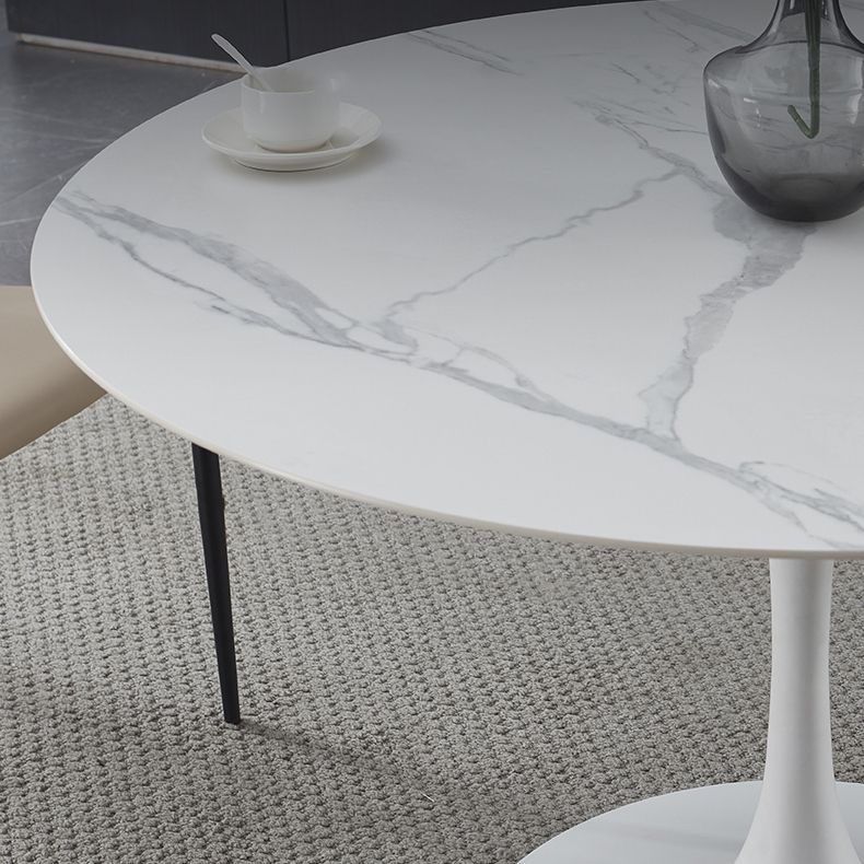 Minimalist Sintered Stone Dining Table Round Shape Kitchen Dining Table with Tulip Base Clearhalo ' dining_table' 'Dining Tables & Seating' 'Dining Tables' 'furn' 'furn_dining_table' 'Furniture' 'furniture_dining_table' 'Kitchen & Dining Furniture' 'kitchen&dining_furn' 'kitchen' 'kitchen_dining_table' 1200x1200_1258114d-aaa7-49d5-8cae-b2509989c4f3