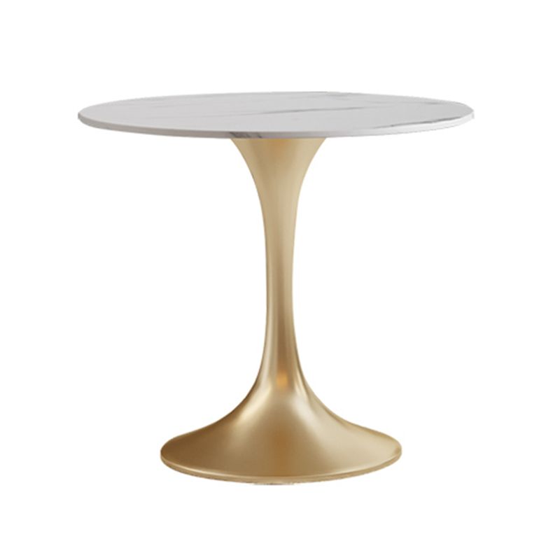 Round Tulip Base Luxury Dining Table White Tone Fixed Table with Sintered Stone Clearhalo ' dining_table' 'Dining Tables & Seating' 'Dining Tables' 'furn' 'furn_dining_table' 'Furniture' 'furniture_dining_table' 'Kitchen & Dining Furniture' 'kitchen&dining_furn' 'kitchen' 'kitchen_dining_table' 1200x1200_1317d8c0-7bf1-47df-9b2f-38d2a1ae2827