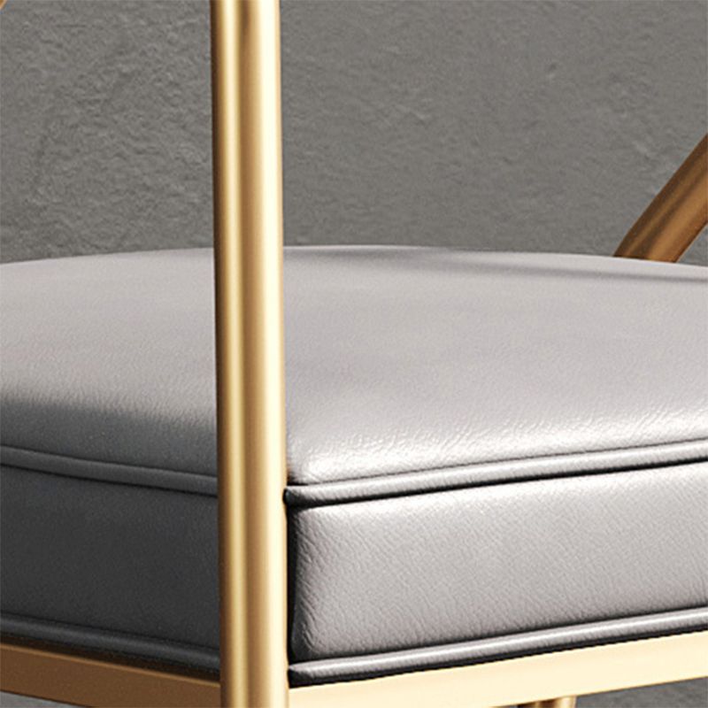 Glam Style 21.65" Wide Fixed Back Sponge Metal Frame Arm Chair