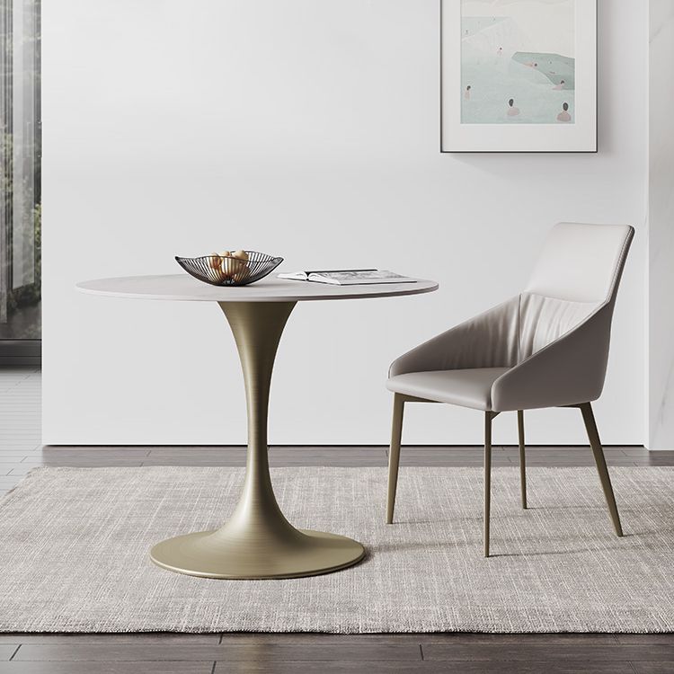 Round Tulip Base Dining Site Table Traditional Luxury Dinette Table for Home Clearhalo ' dining_table' 'Dining Tables & Seating' 'Dining Tables' 'furn' 'furn_dining_table' 'Furniture' 'furniture_dining_table' 'Kitchen & Dining Furniture' 'kitchen&dining_furn' 'kitchen' 'kitchen_dining_table' 1200x1200_13bb17ee-6000-4078-b36c-d488b1d25ae6