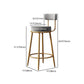 Glam Armless Backrest Counter Stool Iron Household Bar Stool with Velvet Cushion and Pedal Clearhalo 'Bar Furniture' 'Bar Stools' 'bar_stools' 'furn' 'furn_bar_stools' 'furniture_bar_stools' 'Kitchen & Dining Furniture' 'kitchen&dining_furn' 'kitchen' 'kitchen_furn' Furniture' 1200x1200_13bff169-bed3-4bcb-8c14-fae7c7040ed1