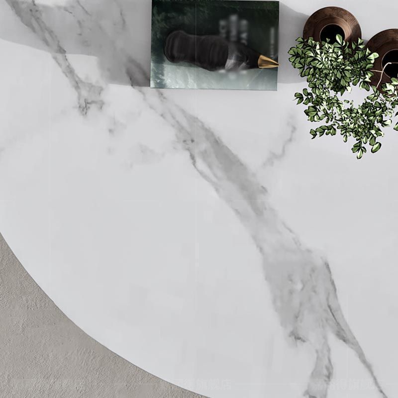 White Sintered Stone Top Table with Tulip Base Metal Traditional Luxury Round Dining Table Clearhalo 'Dining Tables & Seating' 'Dining Tables' 'dining_table' 'furn' 'furn_dining_table' 'Furniture' 'Kitchen & Dining Furniture' 1200x1200_13e61f33-f294-4a92-81fd-4cf31191ced9