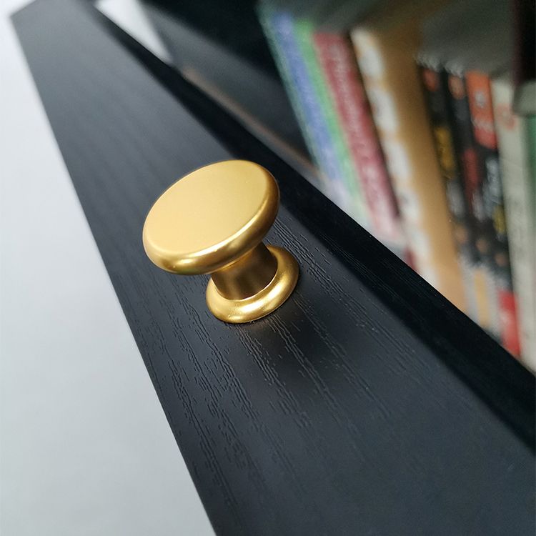 Modern Style Bookcase Standard Closed Back Wooden Bookshelf with Doors Clearhalo 'Bookcases' 'furn' 'furn_bookcases' 'Furniture' 'Office Furniture' 1200x1200_1469fb99-6423-454c-ab6d-13a45ca6a9cd