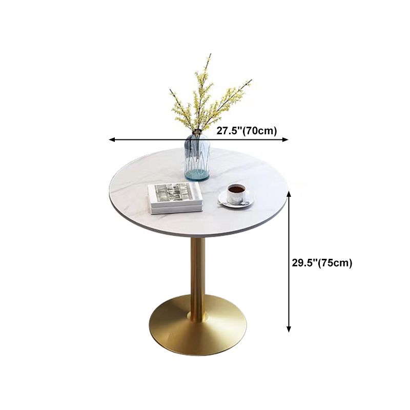 Stone Top Dining Table Round Dining Table with Pedestal Base in Gold Clearhalo 'Dining Tables & Seating' 'Dining Tables' 'dining_table' 'furn' 'furn_dining_table' 'Furniture' 'furniture_dining_table' 'Kitchen & Dining Furniture' 'kitchen' 'kitchen_dining_table' 1200x1200_14bb384b-b89e-451d-a917-4ef43c72f559
