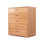 Contemporary Brown Accent Chest Rectangle Chest with Drawers