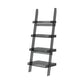Ladder Open Back Bookshelf Acrylic Shelves Included Bookcase