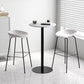 Contemporary Bar-stool Plastic Counter Bar Stool with Metal Legs for Kitchen Clearhalo 'Bar Furniture' 'Bar Stools' 'bar_stools' 'furn' 'furn_bar_stools' 'Furniture' 'furniture_bar_stools' 'Kitchen & Dining Furniture' 1200x1200_15568072-2cb2-468d-b8a7-fd65fc88b68b