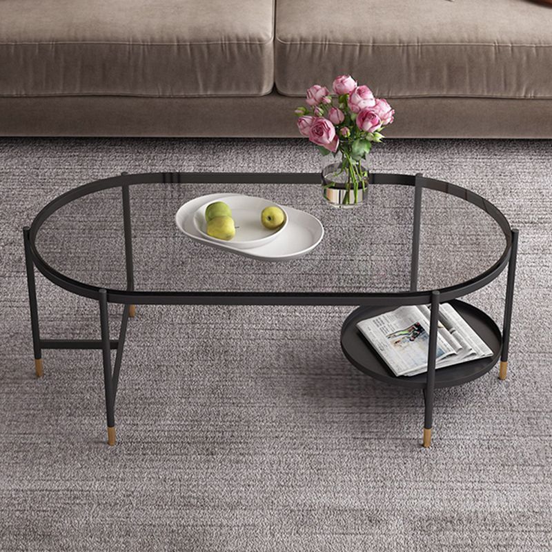 Contemporary Elliptical Glass & Slate Coffee Cocktail Table with Storage Shelf Clearhalo 'Coffee & Accent Tables' 'Coffee Tables' 'coffee_tables' 'furn' 'furn_coffee_tables' 'Furniture' 'Living Room Furniture' 1200x1200_158a7601-1c6c-47ff-a039-b34312b493ff
