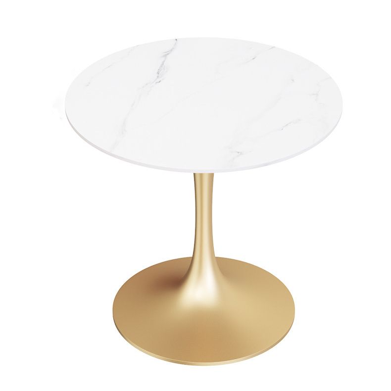 Glam Style Sintered Stone Dining Room Set Standard Height with Gold Base Dining Set Clearhalo 'Dining Room Sets' 'Dining Tables & Seating' 'dining_room_set' 'furn' 'furn_dining_room_set' 'Furniture' 'furniture_dining_room_set' 'Kitchen & Dining Furniture' 'kitchen&dining_furn' 'kitchen' 1200x1200_15f24aa7-a9b2-4ef3-8a2a-fe95f4b443d2