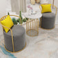 Glam Velvet Dining Room Chair Metal Dining Side Armless Chair for Restaurant Use