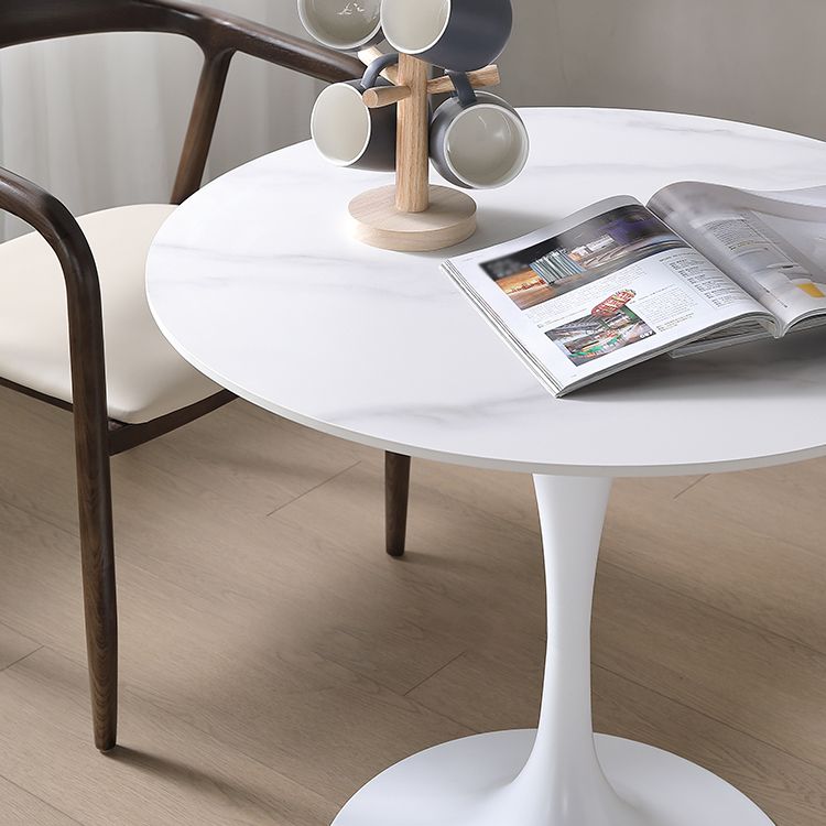 Round Sintered Stone White Dining Table Simplicity Tulip Base Table for Dining Room Clearhalo ' dining_table' 'Dining Tables & Seating' 'Dining Tables' 'furn' 'furn_dining_table' 'Furniture' 'furniture_dining_table' 'Kitchen & Dining Furniture' 'kitchen&dining_furn' 'kitchen' 'kitchen_dining_table' 1200x1200_16854c51-8e82-40d9-9574-b741612c7eea