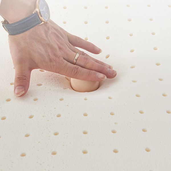 Scandinavian Style Metal Chair Kitchen Dining Parsons Chair (Set of 2) Clearhalo ' kitchen&dining_furn' 'Dining Chairs' 'Dining Tables & Seating' 'dining_chair' 'furn' 'furn_dining_chair' 'Furniture' 'furniture_dining_chair' 'Kitchen & Dining Furniture' 'kitchen' 1200x1200_1688a0de-3c43-4589-93c8-cc73daefe332