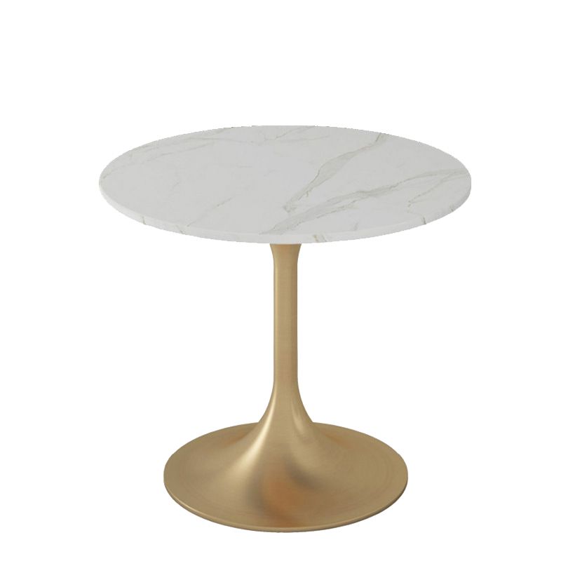 Glam Sintered Stone Dining Set Round 1/2/4/5 Pieces Dining Set for Home Use Clearhalo 'Dining Room Sets' 'Dining Tables & Seating' 'dining_room_set' 'furn' 'furn_dining_room_set' 'Furniture' 'Kitchen & Dining Furniture' 1200x1200_16e493d7-4a7a-4390-b06f-c04289bb33e5