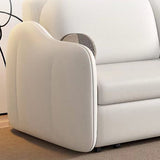 Faux leather Sleeper Sofa with Pillow Back Sofa Bed with Detachable Mattress Clearhalo 'furn' 'furn_futons' 'Furniture' 'Futons & Daybeds' 'Futons' 'Living Room Furniture' 1200x1200_16ea77b7-6cbf-4e42-85ce-0057892515f4