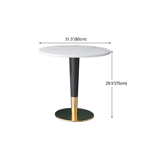 Glam 1/2 Pieces Dining Set Sintered Stone Dining Furniture for Home Use Clearhalo 'Dining Room Sets' 'Dining Tables & Seating' 'dining_room_set' 'furn' 'furn_dining_room_set' 'Furniture' 'furniture_dining_room_set' 'Kitchen & Dining Furniture' 'kitchen&dining_furn' 'kitchen' 1200x1200_16ed3696-9a71-4dba-bbef-c7d6be06af6a