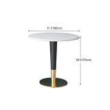 Glam 1/2 Pieces Dining Set Sintered Stone Dining Furniture for Home Use Clearhalo 'Dining Room Sets' 'Dining Tables & Seating' 'dining_room_set' 'furn' 'furn_dining_room_set' 'Furniture' 'furniture_dining_room_set' 'Kitchen & Dining Furniture' 'kitchen&dining_furn' 'kitchen' 1200x1200_16ed3696-9a71-4dba-bbef-c7d6be06af6a