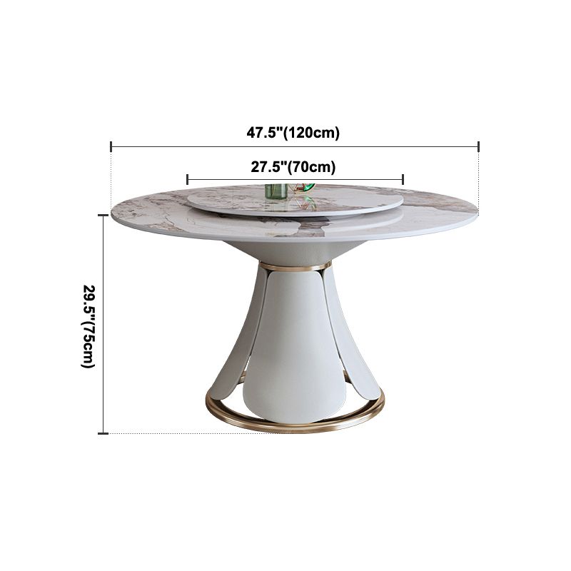 Glam Gray Sintered Stone Table Round Shape Standard Dining Table with Pedestal Base Clearhalo ' dining_table' 'Dining Tables & Seating' 'Dining Tables' 'furn' 'furn_dining_table' 'Furniture' 'furniture_dining_table' 'Kitchen & Dining Furniture' 'kitchen&dining_furn' 'kitchen' 'kitchen_dining_table' 1200x1200_16f09293-fb74-42de-99d0-8299ce9ddadf
