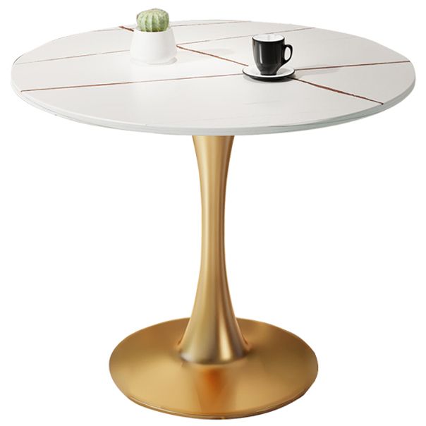 Round Furniture Traditional Luxury Stone Tulip Base Dining Room Collection Clearhalo ' dining_table' 'Dining Tables & Seating' 'Dining Tables' 'furn' 'furn_dining_table' 'Furniture' 'furniture_dining_table' 'Kitchen & Dining Furniture' 'kitchen&dining_furn' 'kitchen' 'kitchen_dining_table' 1200x1200_1732daed-6ddc-4d2a-91d6-4e20acd2fe01