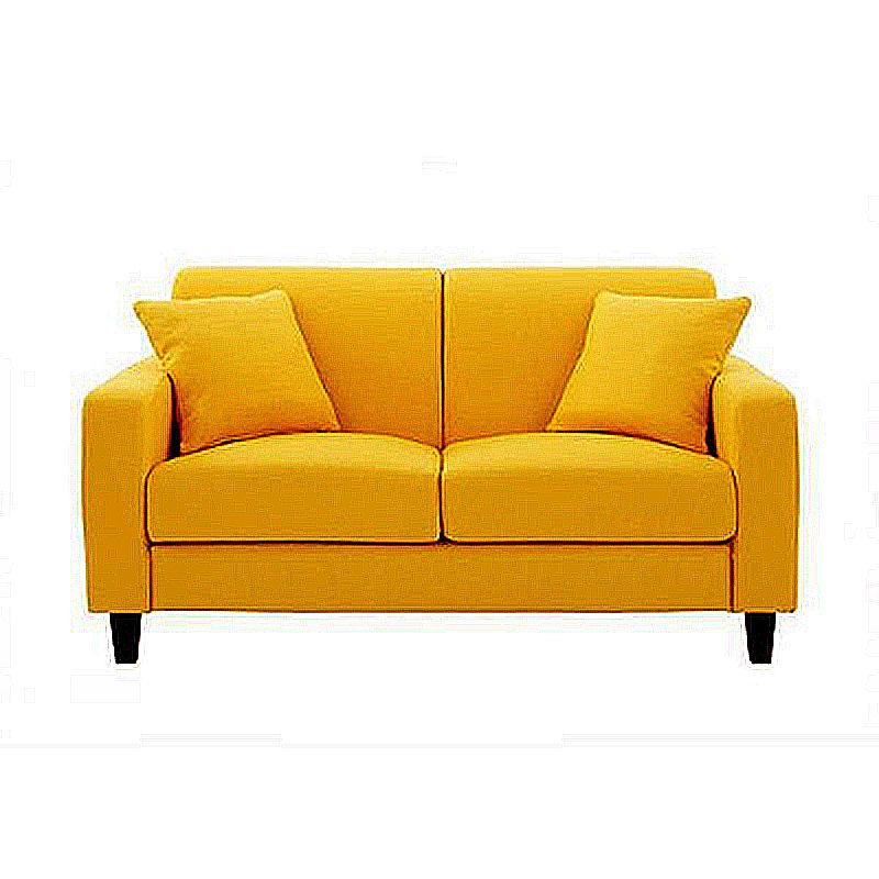 Contemporary 2-seat Sofa Square Arm Settee with Removable Cushions Clearhalo 'furn' 'furn_sofas' 'Furniture' 'furniture_sofas' 'Living Room Furniture' 'Sofa' 'sofas' 1200x1200_179fb92f-2e67-49d6-9c61-4685ee0aa2a2