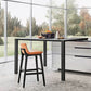 Contemporary Low Back Indoor Armless Bar Stool with Backrest