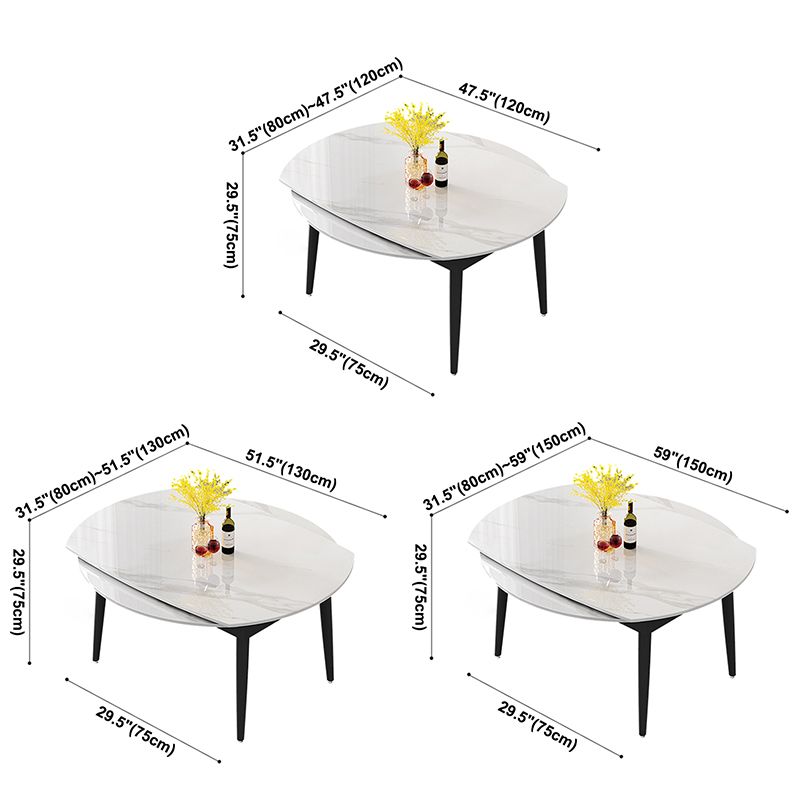 Modern Style Sintered Stone Dining Table Rectangle Table with Black Legs for Home Clearhalo ' dining_table' 'Dining Tables & Seating' 'Dining Tables' 'furn' 'furn_dining_table' 'Furniture' 'furniture_dining_table' 'Kitchen & Dining Furniture' 'kitchen&dining_furn' 'kitchen' 'kitchen_dining_table' 1200x1200_181346af-0ab1-4d9d-8736-68f2307618da