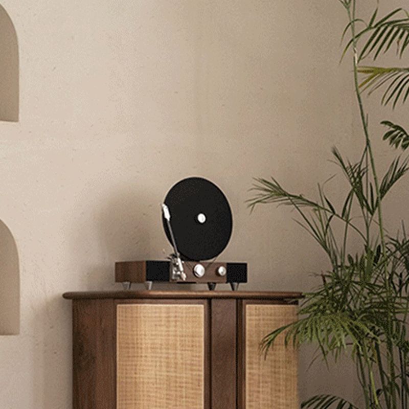 Rectangle Storage Cabinet Solid Wood Standard Cabinet with Doors Clearhalo 'Cabinets & Chests' 'cabinets_chests' 'furn' 'furn_cabinets_chests' 'Furniture' 'Living Room Furniture' 1200x1200_18691796-b41b-4f04-81b1-ddd4b31aa022