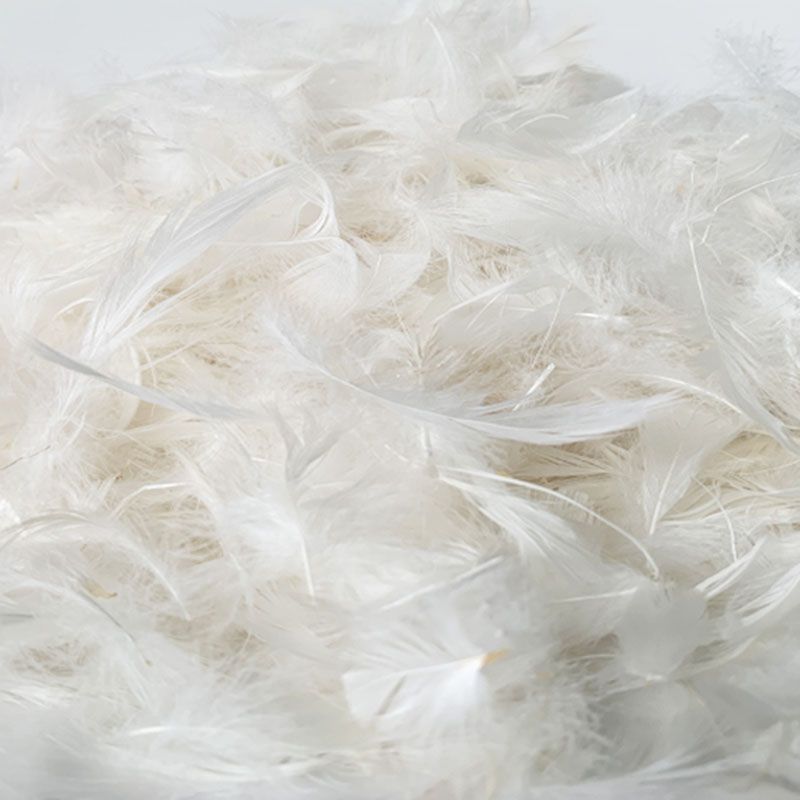 Coiffeur de salon de salon stationnaire résistant aux taches coussins de bras