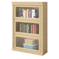 Contemporary Standard Bookshelf Wood Engineered Bookcase with Doors