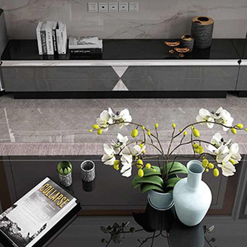 Glass and Wood TV Console Gorgeous Style Home Closed Black TV Stand Console Clearhalo 'furn' 'furn_tv_stands_entertainment_centers' 'Furniture' 'Living Room Furniture' 'TV Stands & Entertainment Centers' 'TV Stands & Media Storage Furniture' 'tv_stands_entertainment_centers' 1200x1200_18996d57-d1cf-4ddc-8d90-86ec08b97384