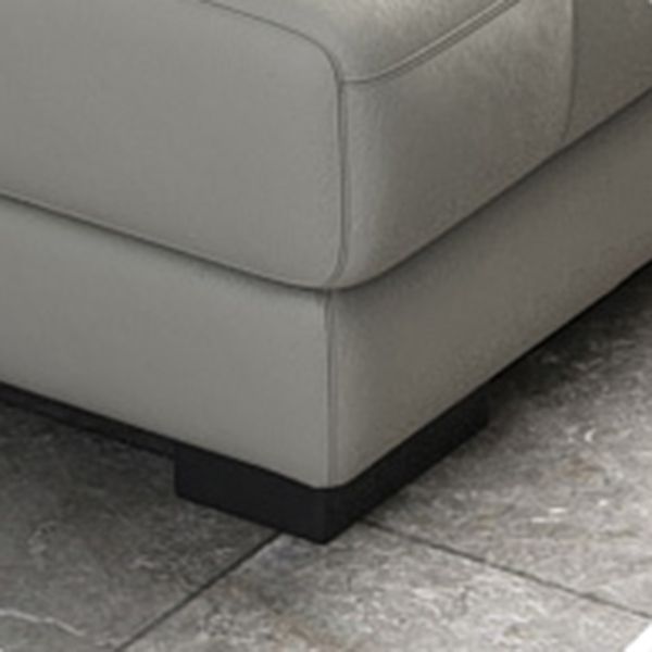 Modern Upholstered Cushioned Leather Pillow Top Arms Chaise Lounge Couch Clearhalo 'Chairs & Seating' 'Chaise Lounge' 'chaise_lounge' 'furn' 'furn_chaise_lounge' 'Furniture' 'Living Room Furniture' 1200x1200_18ee6849-d887-427e-9c98-420a9acf7a46