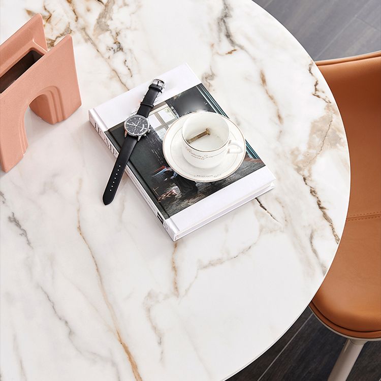 Sintered Stone Modern DiningRoomTableSet with Round Table and Pedestal Base Dinette Set Clearhalo 'Dining Room Sets' 'Dining Tables & Seating' 'dining_room_set' 'furn' 'furn_dining_room_set' 'Furniture' 'furniture_dining_room_set' 'Kitchen & Dining Furniture' 'kitchen&dining_furn' 'kitchen' 1200x1200_18f1dfbd-b2fc-4485-857d-5d53832c7ba7