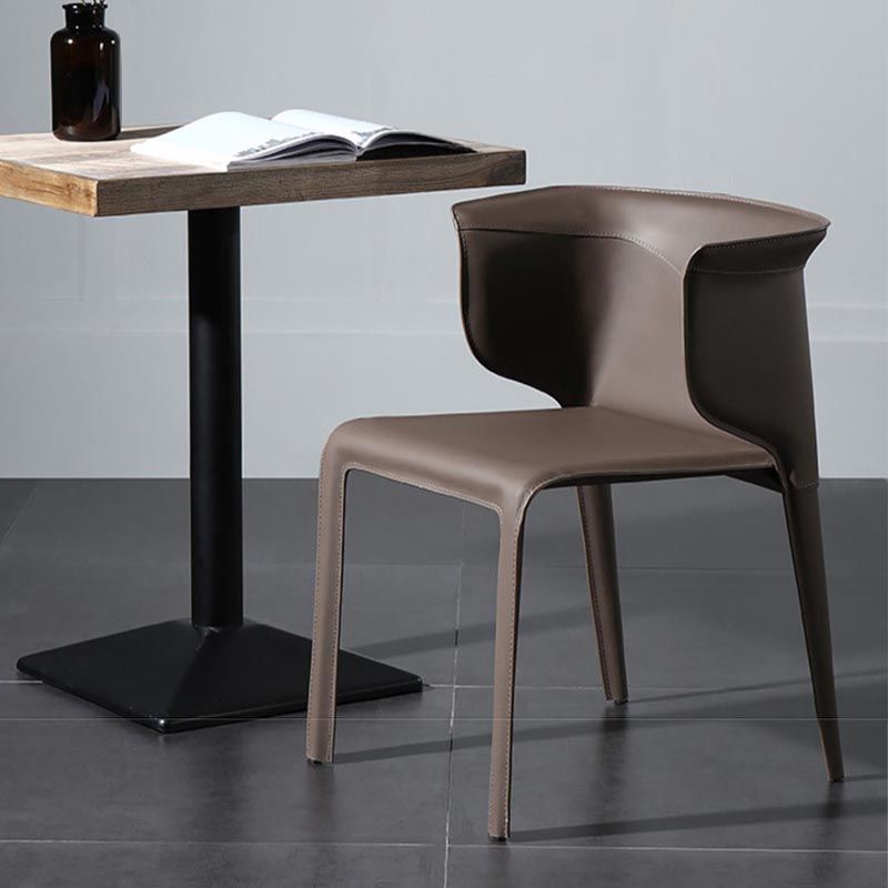 Metal Contemporary Indoor Chair with Leather Legs Matte Finish Side Chair for Dining Room Clearhalo 'Dining Chairs' 'Dining Tables & Seating' 'dining_chair' 'furn' 'furn_dining_chair' 'Furniture' 'furniture_dining_chair' 'Kitchen & Dining Furniture' 1200x1200_193184e0-d8fd-43a8-92c1-5efb367d2b29