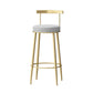 Glam Backrest Armless Counter Stool Iron Household Bar Stool with Cushion Clearhalo 'Bar Furniture' 'Bar Stools' 'bar_stools' 'furn' 'furn_bar_stools' 'furniture_bar_stools' 'Kitchen & Dining Furniture' 'kitchen&dining_furn' 'kitchen' 'kitchen_furn' Furniture' 1200x1200_19561a25-c524-4ccd-be0c-330c50c44e9a