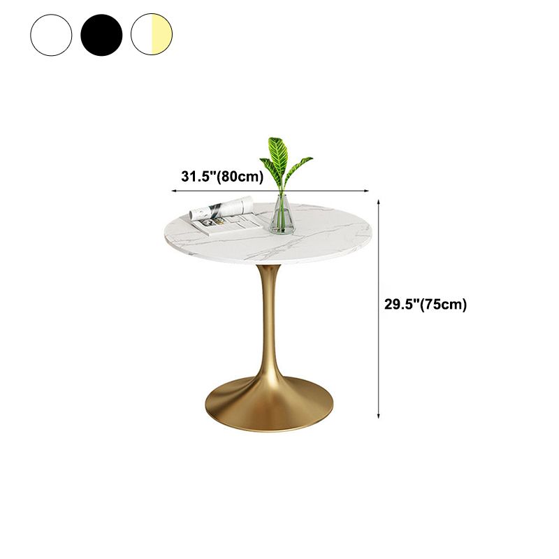 Metal Traditional Luxury Round Dining Table Sintered Stone Table with Tulip Base Clearhalo 'Dining Tables & Seating' 'Dining Tables' 'dining_table' 'furn' 'furn_dining_table' 'Furniture' 'Kitchen & Dining Furniture' 1200x1200_195cea30-a3c5-4357-9740-f72605edc5f3