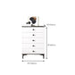 Contemporary Combo Dresser Solid Wood Bachelor's Chest for Home Clearhalo 'Bedroom Furniture' 'Dressers & Chests' 'dressers_chests' 'furn' 'furn_dressers_chests' 'Furniture' 1200x1200_1986d37e-de98-4024-b04e-07b279986f95