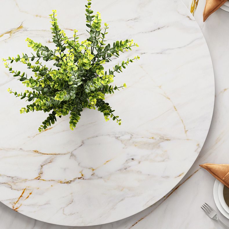 1/4/5/7 Pieces Dining Chairs Set Sintered Stone Table Set Rectangle Table Clearhalo 'Dining Room Sets' 'Dining Tables & Seating' 'dining_room_set' 'furn' 'furn_dining_room_set' 'Furniture' 'furniture_dining_room_set' 'Kitchen & Dining Furniture' 1200x1200_19b53b83-a027-4925-ae7f-8a5301f00c11