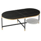 17.7" Tall Modern Metal Cross Leg Base Glass Oval Coffee Table with Shelf Clearhalo 'Coffee & Accent Tables' 'Coffee Tables' 'coffee_tables' 'furn' 'furn_coffee_tables' 'Furniture' 'furniture_coffee_tables' 'Living Room Furniture' 1200x1200_19c24c43-0923-4ff5-8b2a-77f914d90b6b