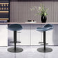 Leather Bar Stool Adjustable Backrest Swivel Counter Stool for Bristol