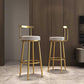 Glam Armless Backrest Counter Stool Iron Kitchen Bar Stool with Cushion and Pedal Clearhalo 'Bar Furniture' 'Bar Stools' 'bar_stools' 'furn' 'furn_bar_stools' 'furniture_bar_stools' 'Kitchen & Dining Furniture' 'kitchen&dining_furn' 'kitchen' 'kitchen_furn' Furniture' 1200x1200_1a019604-6880-47f3-8c38-e5842dcff861