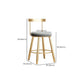 Glam Armless Backrest Counter Stool Iron Bar Stool with Cushion and Pedal for Kitchen Use Clearhalo 'Bar Furniture' 'Bar Stools' 'bar_stools' 'furn' 'furn_bar_stools' 'Furniture' 'Kitchen & Dining Furniture' 1200x1200_1a1b8bd5-8ec6-4ba8-9502-e59ec7951ac2