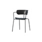 Modern Style Arm Chair Plastic Indoor Dining Chair for Living Room Clearhalo 'Dining Chairs' 'Dining Tables & Seating' 'dining_chair' 'furn' 'furn_dining_chair' 'Furniture' 'Kitchen & Dining Furniture' 1200x1200_1a4a8368-1ffb-40d1-bf7b-590685678c3c